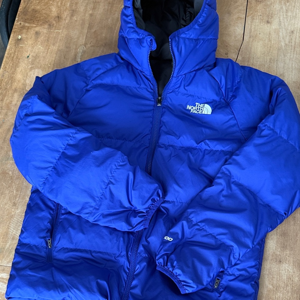 The North Face Royal Blue Insulated Jacket